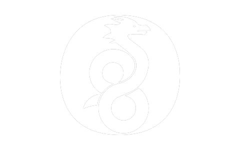 Logo WireGuard